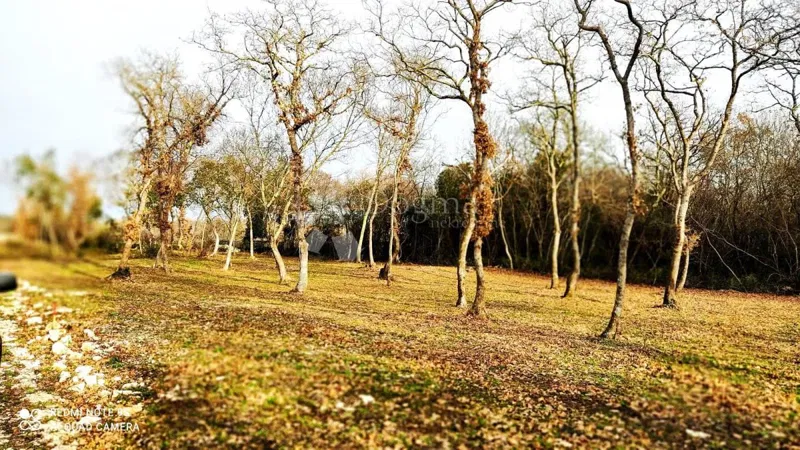 Land Vodnjan, 1.005m2 – 3