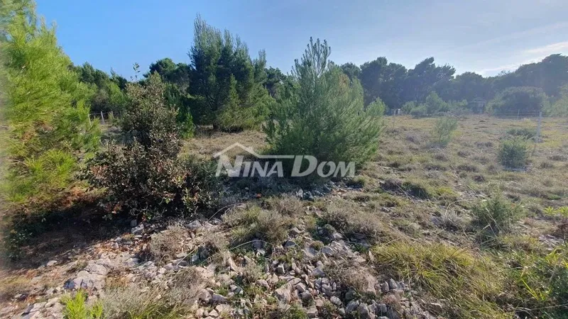 Land Vir – 2