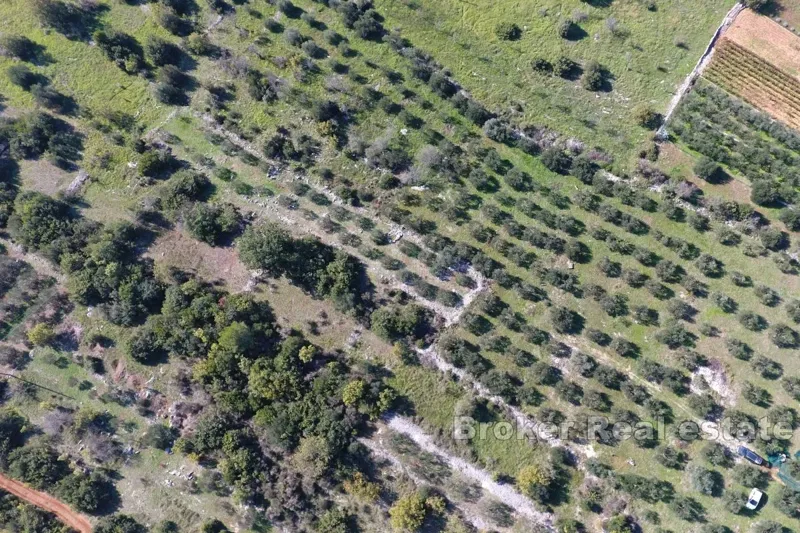 A spacious plot near the sea – 3