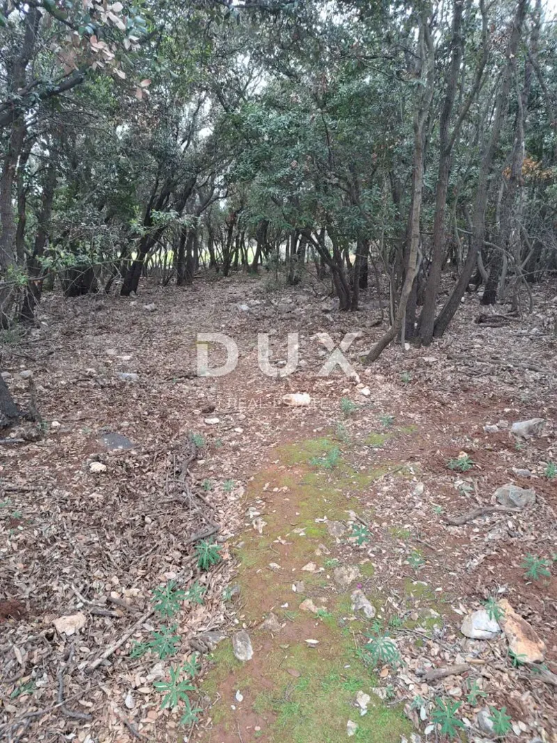 MALI LOŠINJ, PUNTA KRIŽA - Terreno agricolo – 2