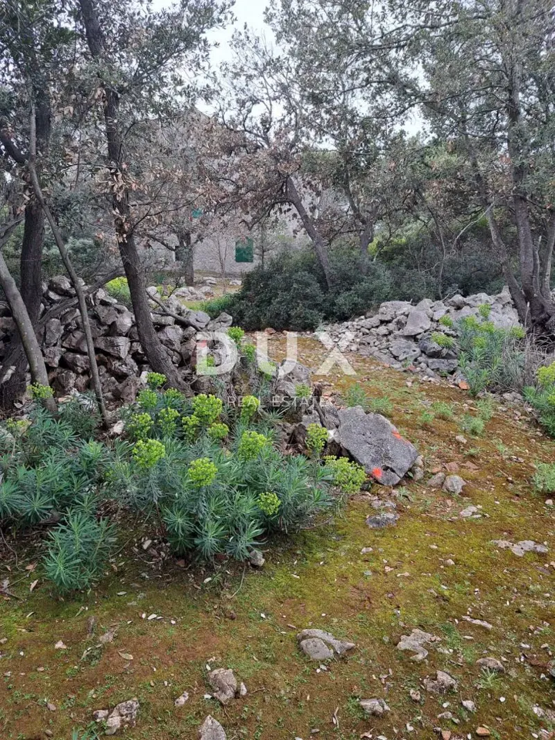 MALI LOŠINJ, PUNTA KRIŽA - Terreno agricolo – 3