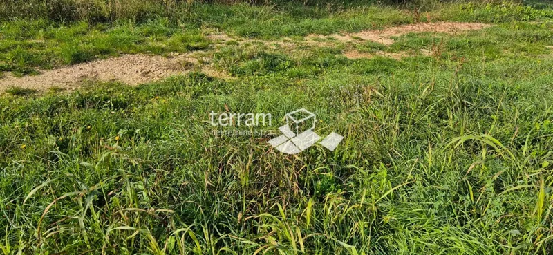 Telek Pomer – 2