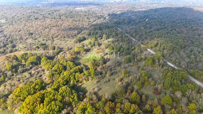 ISTRIA, ROVIGNO - Attraente terreno agricolo 54035 m2 posizione eccezionale – 2