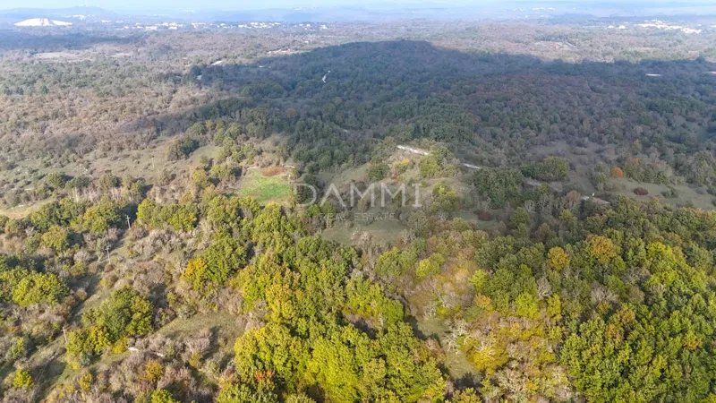 ISTRIA, ROVIGNO - Attraente terreno agricolo 54035 m2 posizione eccezionale – 3