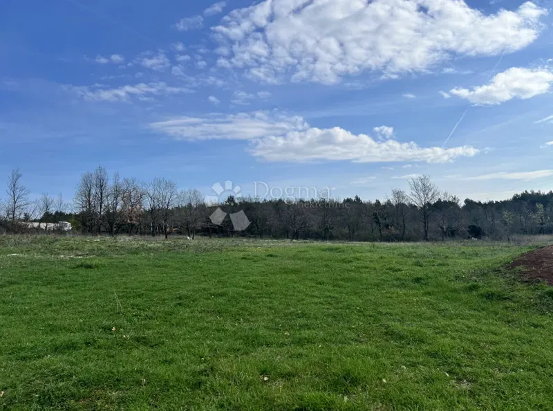 Terreno Divšići, Marčana, 6.000m2 – 2