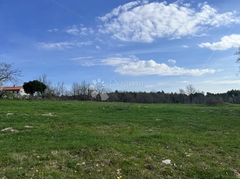 Terreno Divšići, Marčana, 6.000m2 – 3