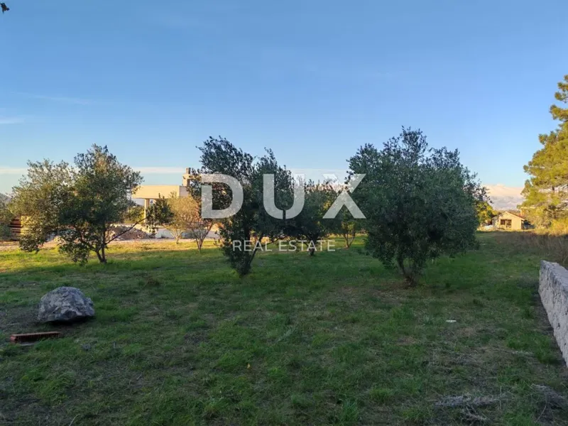 ZADAR, VRSI - Building plot with olive trees 800 meters from the beach! – 3