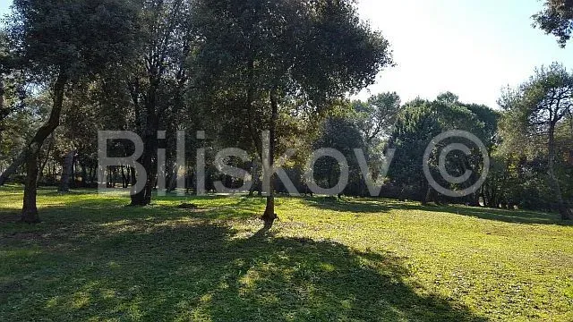 Sale, Rovinj, attractive building land for tourism purposes – 2