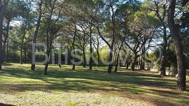 Sale, Rovinj, attractive building land for tourism purposes – 3