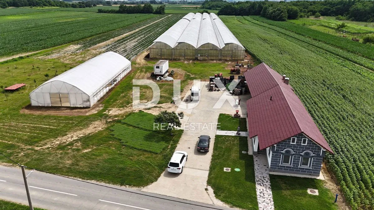 Podravina, Pitomača, tenuta, 119.490 m2, vendita urgente