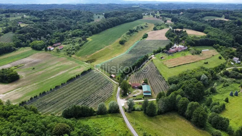 Prodaja, Sv. Ivan Zelina, Radoišće, imanje s kućom i gosp. objektom