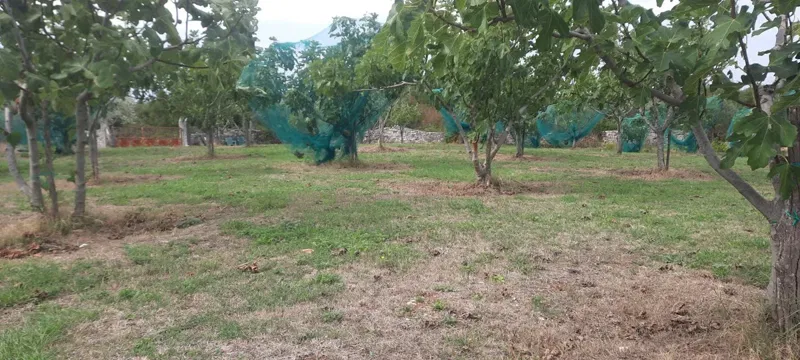 Istria, Krnica, Bratulići, building plot size 2259m2 #sale – 3