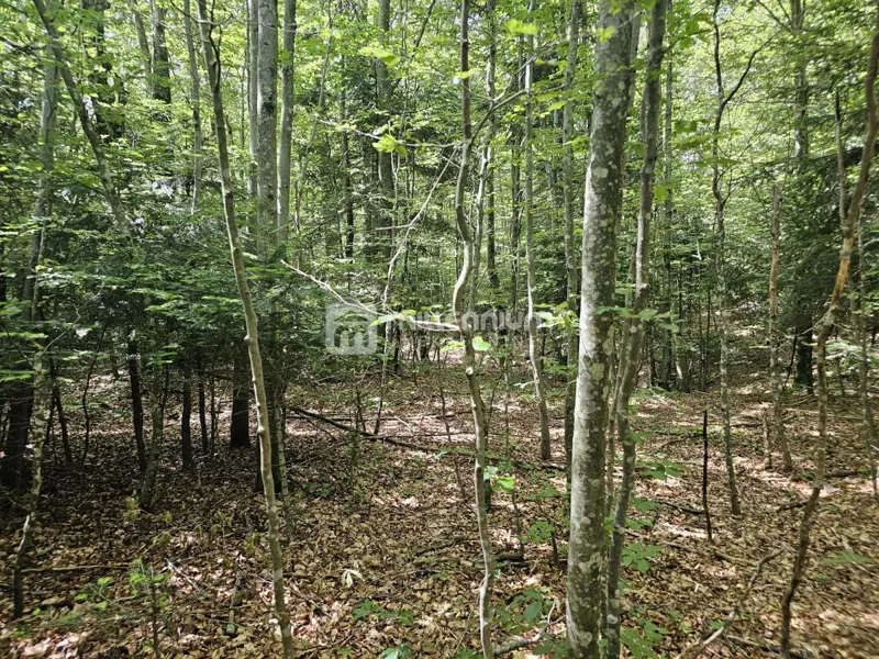 Bribir, 12.674m2, građevinsko zemljište – 3
