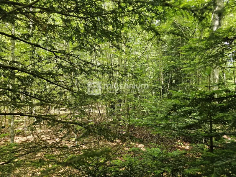 Bribir, 9.758m2, građevinsko zemljište – 3