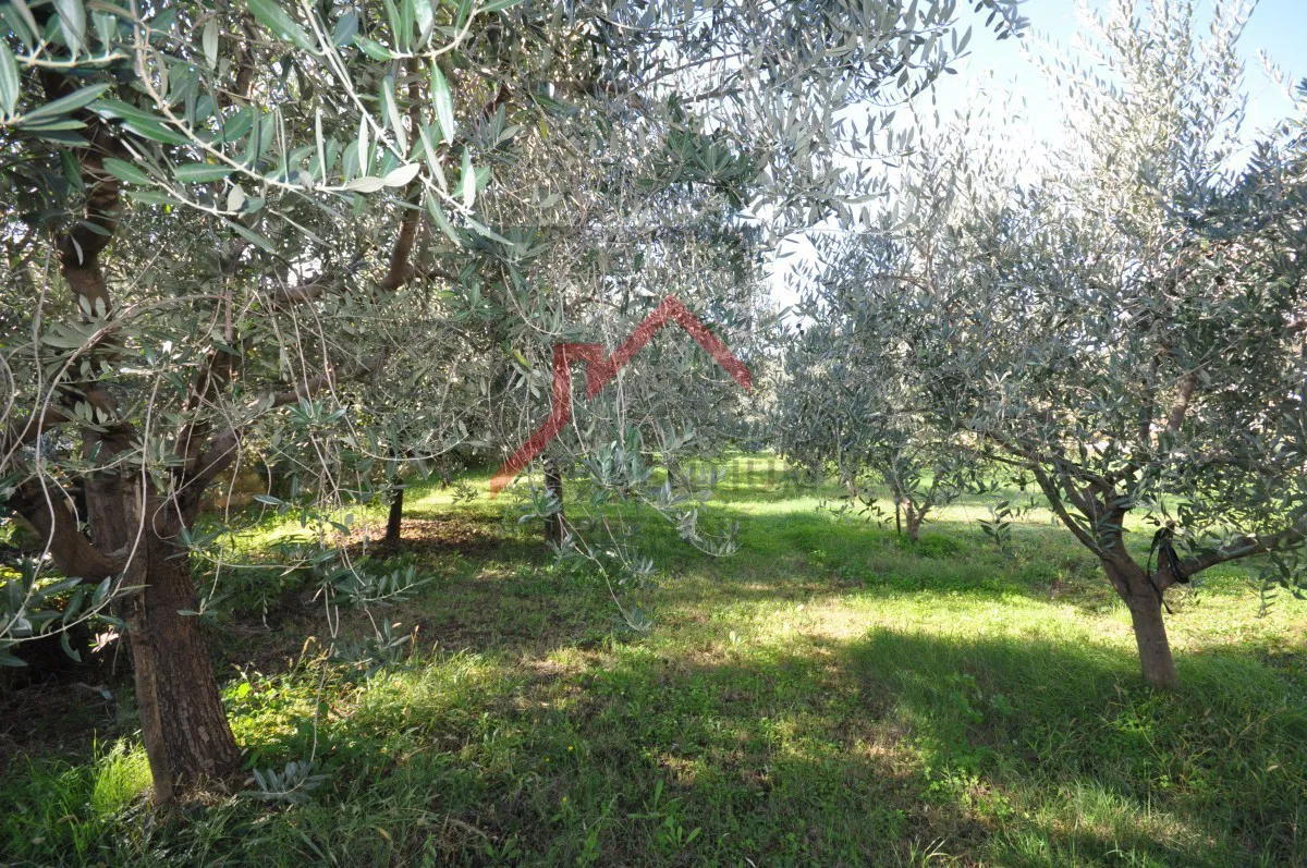 Terreno edificabile (M1) a Funtana - progetto di investimento!
