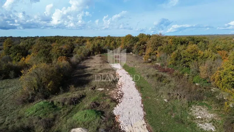 Svetvinčenat, excellent land in a quiet location – 3