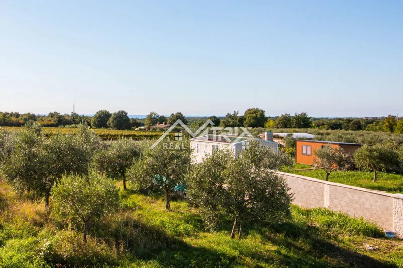 Poreč okolica, 3 luksuzne vile na top lokaciji blizu mora – 3