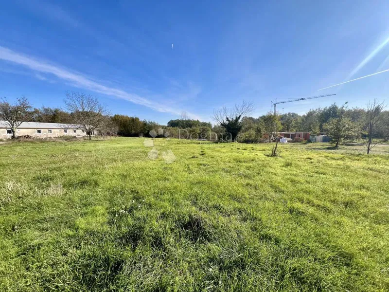 Terreno Laginji, Žminj, 1.246m2 – 3