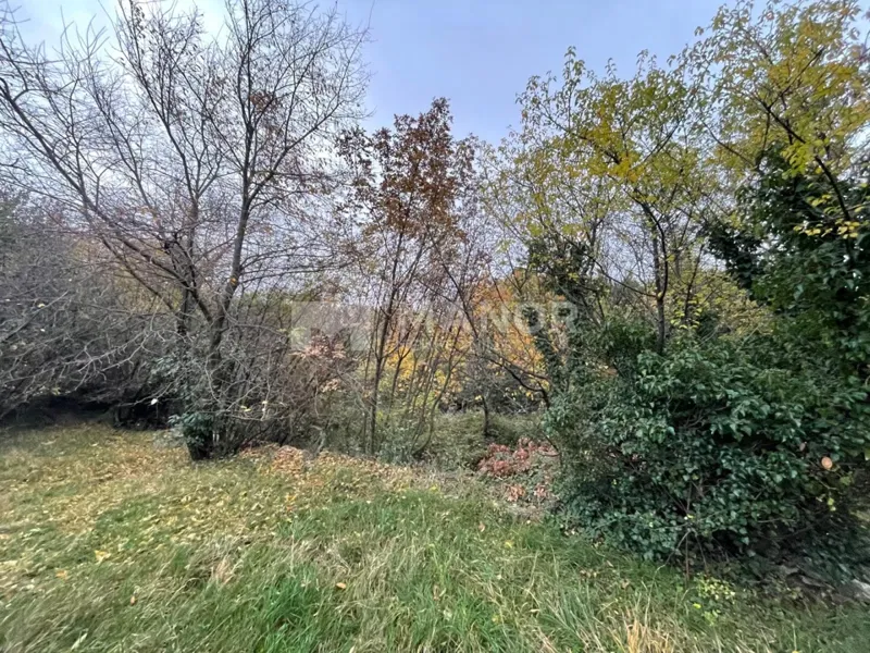 Участок Rubeši – 3