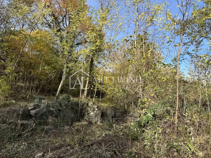 Istria, Buje, surroundings - agricultural land of 20,000 m² with a marked structure. – 2