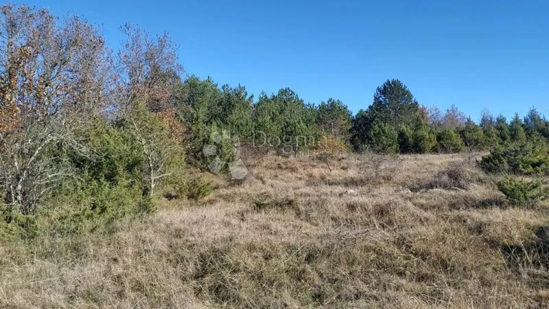 Föld Trviž, Pazin - Okolica, 15.780m2 – 2