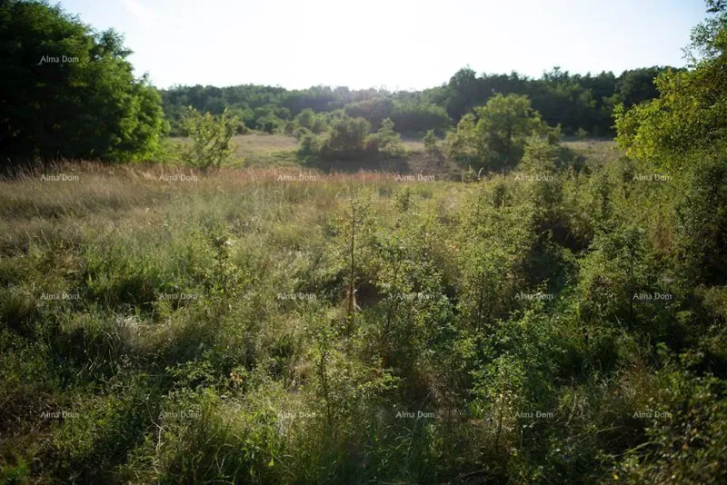 Terreno edificabile Sveta Nedelja – 3