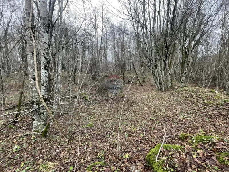 Terreno non edificabile Vodoteč, Brinje, 4.316m2 – 2