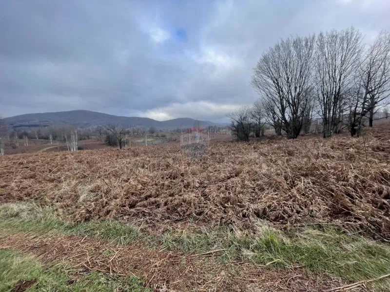 Non-structural plot Vodoteč, Brinje, 10.384m2 – 3