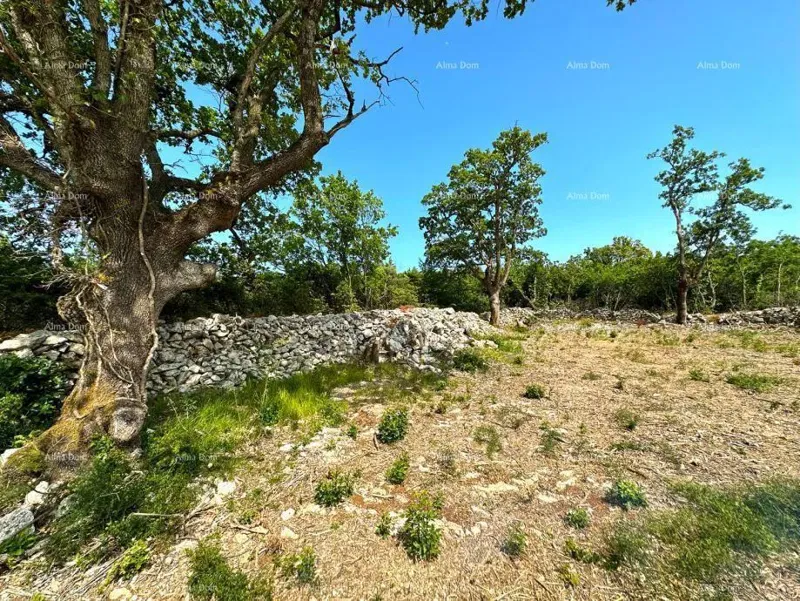 Telek Labin – 2