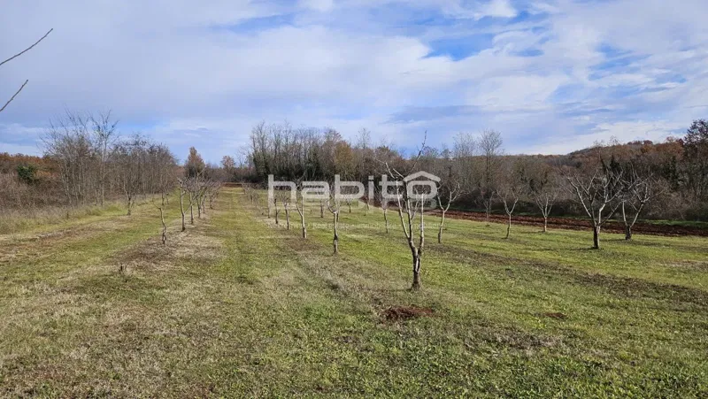 Porec 16 km, Vizinada surroundings - Construction and agricultural land, beautiful location and absolute peace – 3