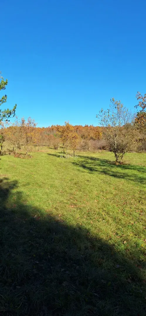 Istra - Višnja, agricultural land 4 hectares – 2