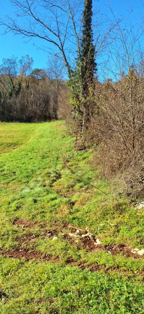 Istra - Višnja, agricultural land 4 hectares – 3