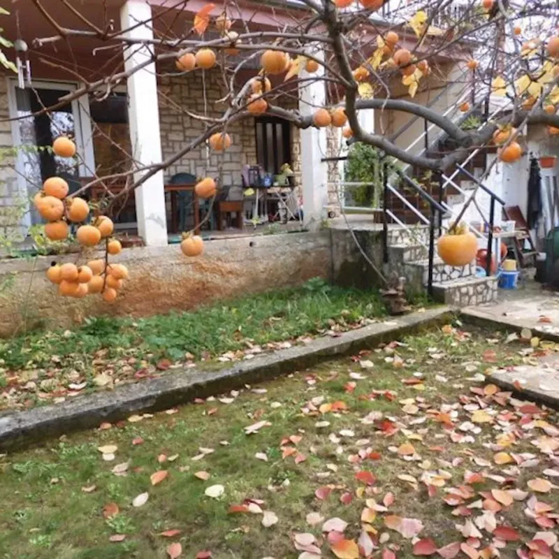 PULA, VIDIKOVAC, BEAUTIFUL APARTMENT WITH GARDEN, GROUND FLOOR WITH TERRACE+GARONIERA (sale) – 3