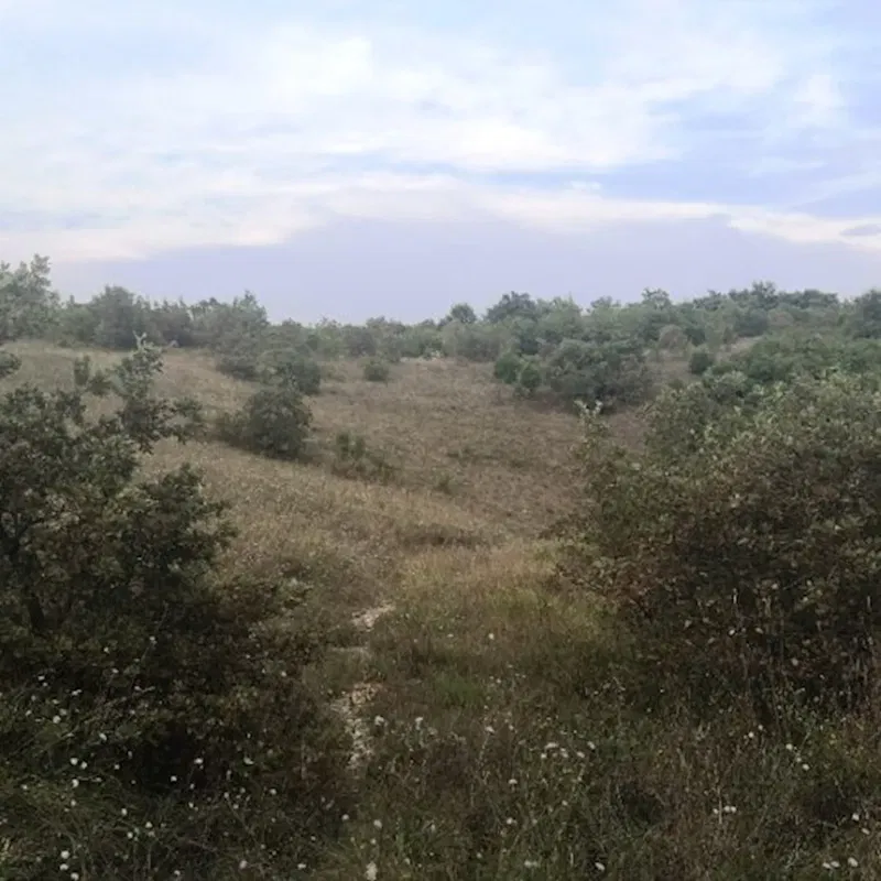 Działka Marčana – 2