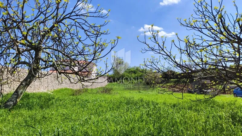 Barban, ottimo terreno edificabile – 3