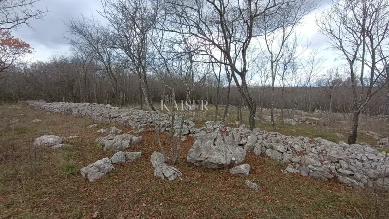Isola di Krk, Krk- Terreno agricolo 1130 m2 con accesso carrabile – 2