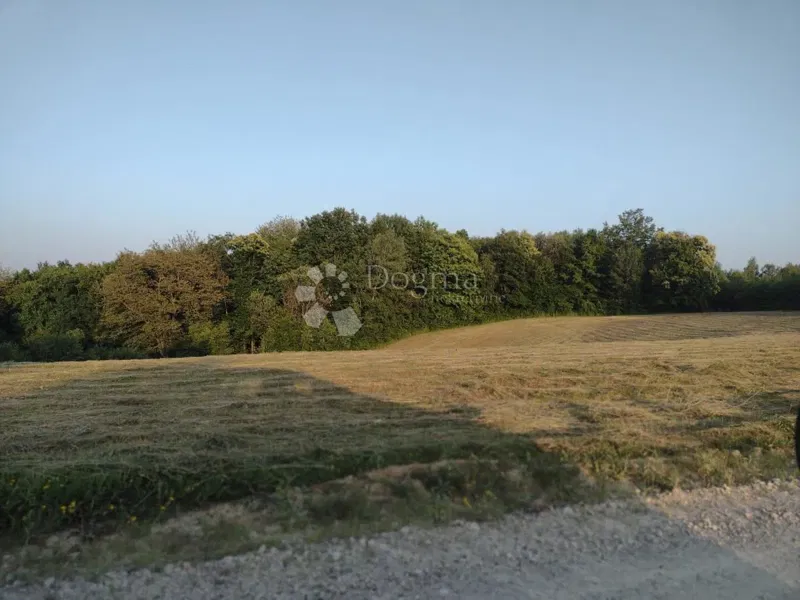 Działka Gornja Trstenica, Gvozd, 57.569m2 – 2