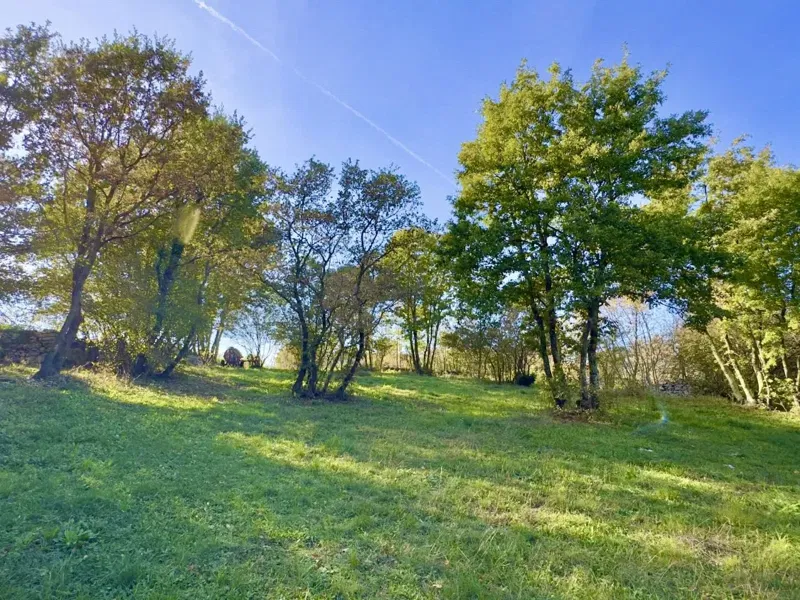 In vendita: Terreno edificabile nel Comune di Svetvinčenat – 3