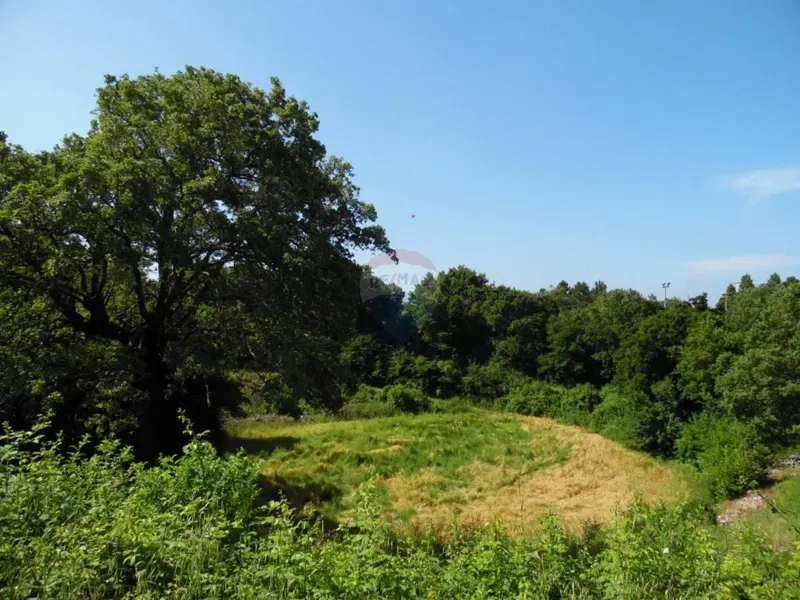 Building plot Marići, Kanfanar, 3.730m2 – 2