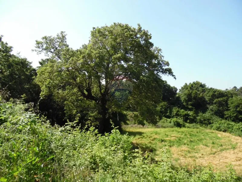 Building plot Marići, Kanfanar, 3.730m2 – 3