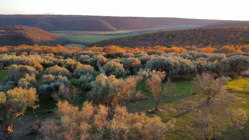 Building land with a beautiful open view – 3