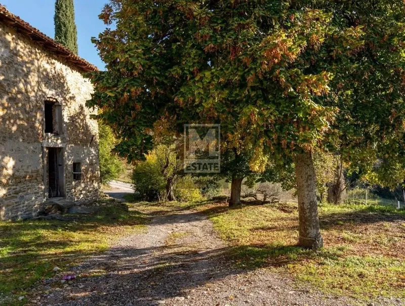 Isola, Slovenia, bella casa con vista sul mare e ampio terreno di 86.218 m2 – 3