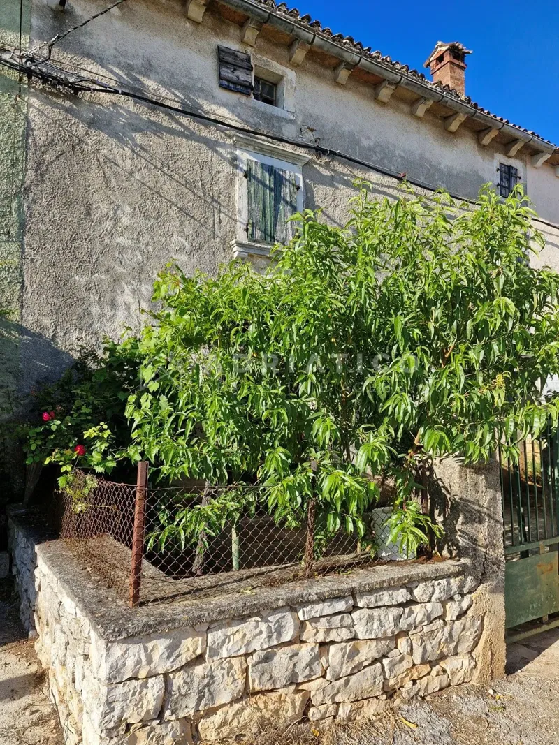 Dom Sošići – 3
