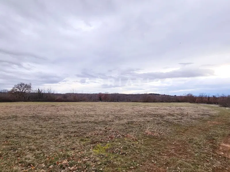 Canfanaro, dintorni, terreno agricolo con una superficie di 7690m2 – 2