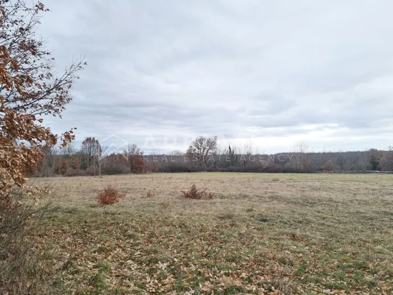 Canfanaro, dintorni, terreno agricolo con una superficie di 7690m2 – 3