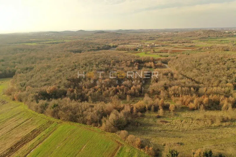 Poljoprivredno okolica Vrsara / Agricultural Land Near Vrsar