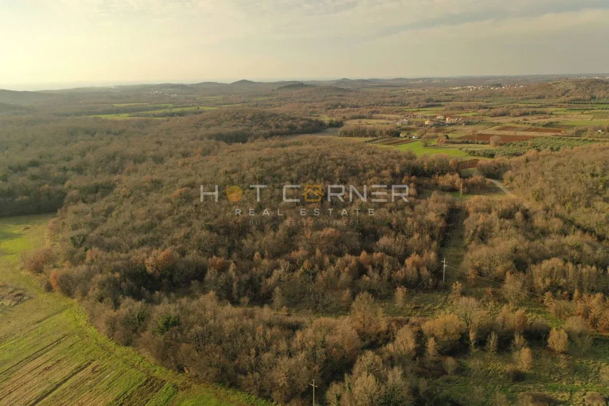 Poljoprivredno okolica Vrsara / Agricultural Land Near Vrsar