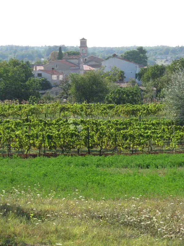 Terreno Barban, 1.329m2 – 2