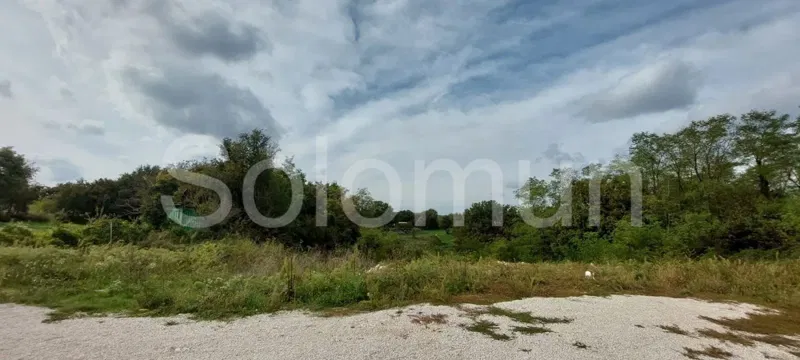 Telek Kanfanar – 2