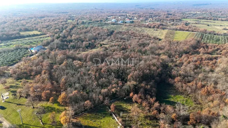 Land Juršići – 3
